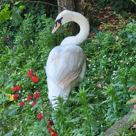 Ete Indien-hotellerie De Plein Air פארק נופש
