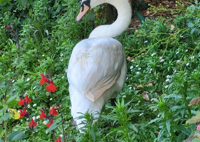 Ete Indien-hotellerie De Plein Air Holiday park